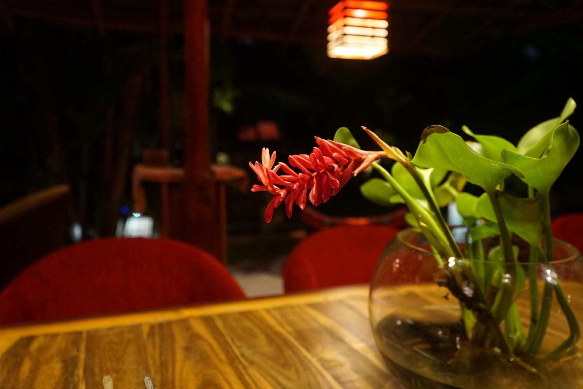 Red Coconut Villa Bentota Exterior foto